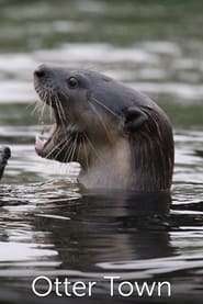 NatGeo Wild Otter Town' Poster