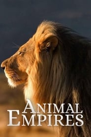 Animal Empire' Poster