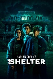 Harlan Cobens Shelter' Poster