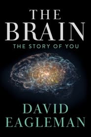 The Brain with Dr David Eagleman' Poster