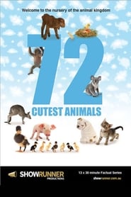 72 Cutest Animals' Poster