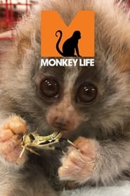 Monkey Life' Poster