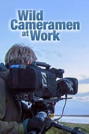 Wild Cameramen at Work' Poster