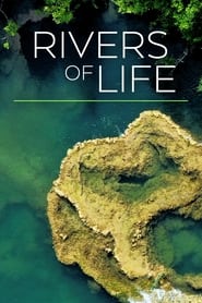 Rivers of Life' Poster