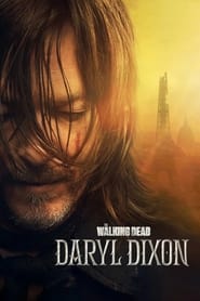 The Walking Dead Daryl Dixon' Poster