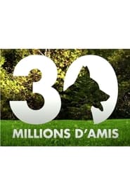 30 millions damis' Poster