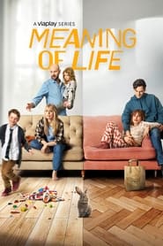 The Meaning of Life' Poster