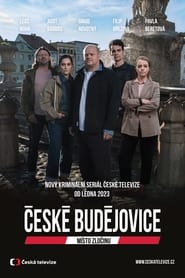 Msto zlocinu Cesk Budejovice' Poster