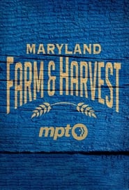 Maryland Farm  Harvest