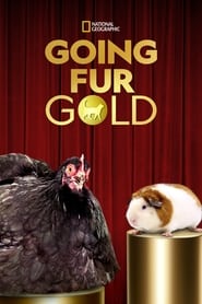 Going Fur Gold' Poster