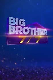 Big Brother 77' Poster