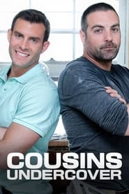 Cousins Undercover' Poster