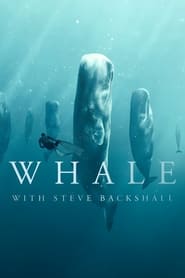 Whale with Steve Backshall' Poster