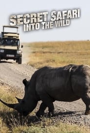 Secret Safari Into the Wild' Poster