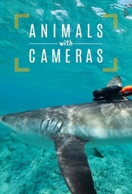 Animals with Cameras A Nature Miniseries' Poster
