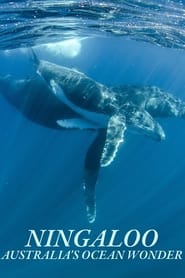 Ningaloo Nyinggulu' Poster