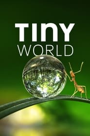 Tiny World' Poster