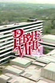 Pebble Mill at One' Poster