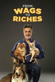 From Wags to Riches with Bill Berloni' Poster