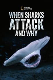 When Sharks Attack And Why' Poster