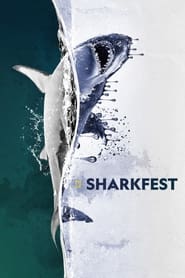 Sharkfest' Poster