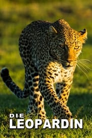 The Leopardess' Poster
