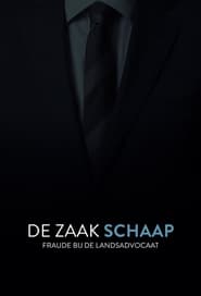 De Zaak Schaap fraude bij de landsadvocaat' Poster