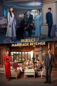 Perfect Marriage Revenge' Poster