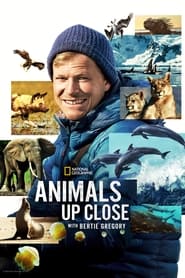 Animals Up Close with Bertie Gregory Poster
