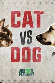 Cat Vs Dog' Poster