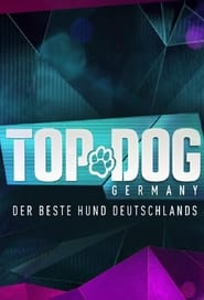 Top Dog Germany  Der beste Hund Deutschlands