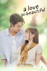 A Love So Beautiful' Poster