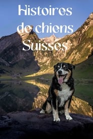 Histoires de chiens suisses' Poster