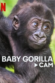Baby Gorilla Cam' Poster