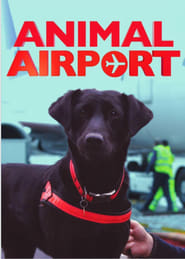 Animal Airport' Poster