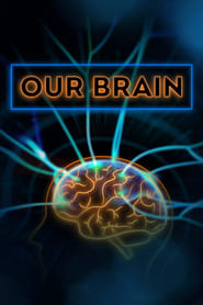 Our Brain' Poster