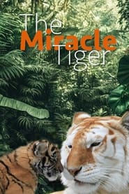 The Miracle Tiger' Poster