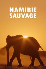 Namibias Naturwunder' Poster