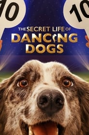 The Secret Life of Dancing Dogs' Poster