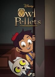 Owl Pellets' Poster