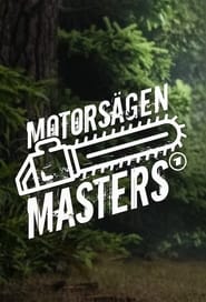 Motorsgen Masters' Poster
