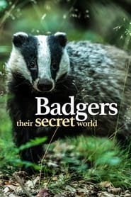 Badgers Their Secret World' Poster