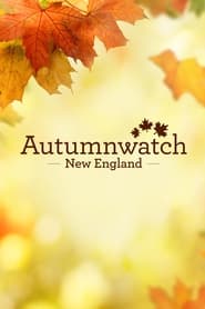Autumnwatch New England' Poster