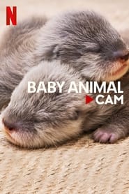 Baby Animal Cam' Poster