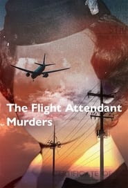 The Flight Attendant Murders' Poster