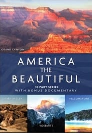 America The Beautiful' Poster