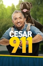 Cesar 911' Poster