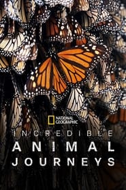 Incredible Animal Journeys' Poster