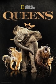Queens' Poster