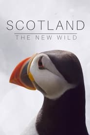 Scotland The New Wild' Poster